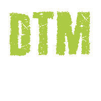Dtm Sticker by DreamTeamMovers