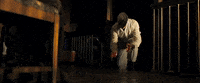 Germany Comedy GIF by TIFF