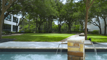 relaxing landscape architecture GIF by KWTexas