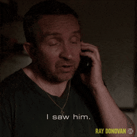 Showtime GIF by Ray Donovan