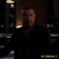 Showtime GIF by Ray Donovan