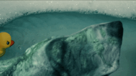 Basset Hound Water GIF by Four Rest Films