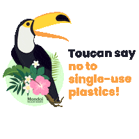 Singapore Zoo Earth Day Sticker by Mandai Wildlife Reserve