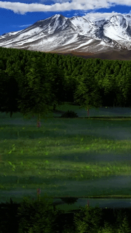 onglobe giphyupload pa onglobe GIF