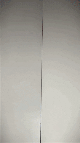 Lordmaximusz giphyupload GIF
