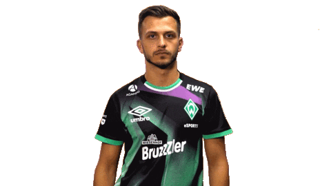 Time Esports Sticker by SV Werder Bremen