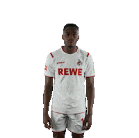 Fc Cologne Bundesliga Sticker by 1. FC Köln