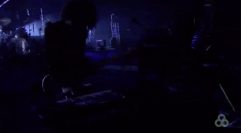 bonnaroo 2016 GIF by Bonnaroo Music and Arts Festival