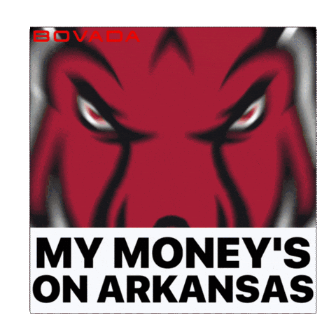 Arkansas Razorbacks Sticker by Bovada