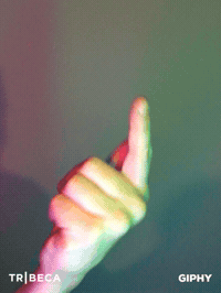 GIF by Tribeca Film Festival