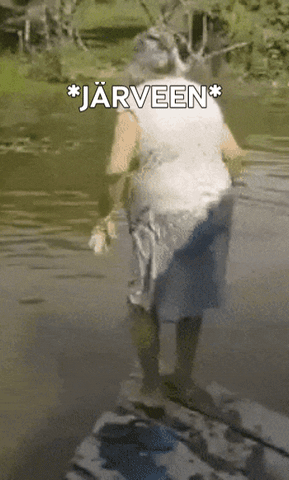 giphygifmaker giphygifmakermobile järveen GIF