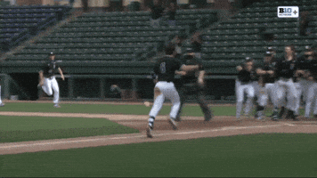 Walk Off Baseball GIF by Northwestern Athletics