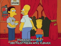 Season 1 Episode 10 GIF by The Simpsons