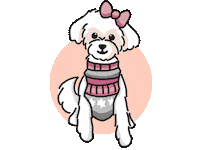 Carlie Sticker