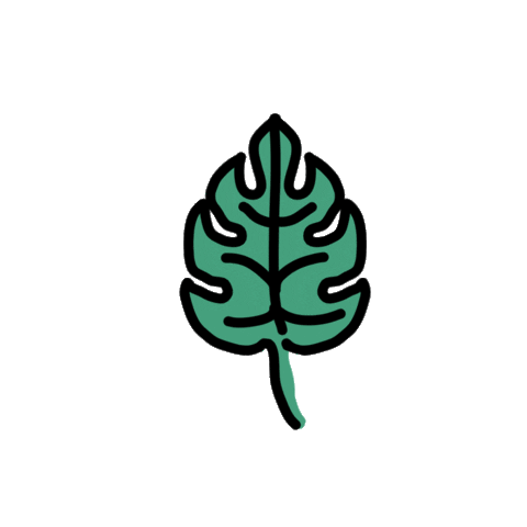 summer spring Sticker by Ivo Adventures