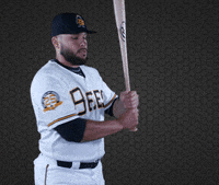 SaltLakeBees baseball homer hit bee GIF