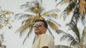 Rotate Palm Tree GIF by DEEPSYSTEM