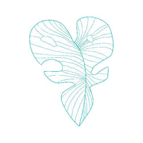 Tseewhy giphyupload minimal leaf leaves Sticker