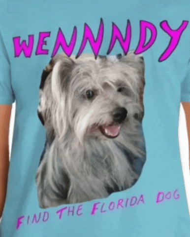 Wennndy GIF by Florida Man Shades