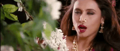 bollywood Hindi GIF