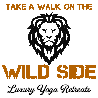 Into The Wild Travel Sticker by Radiant Hot Yoga