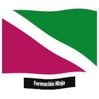 Flag Spain Sticker by Formación Ninja