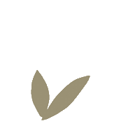 drcassidy shapes neutral therapist privatepractice Sticker