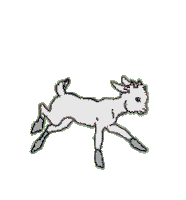 goat STICKER