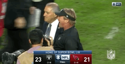2018 Nfl Football GIF by NFL