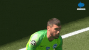 Save Premier League GIF by MolaTV