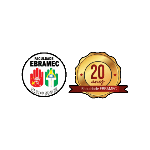 faculdade_ebramec acupuntura ebramec medicinachinesa faculdadeebramec Sticker