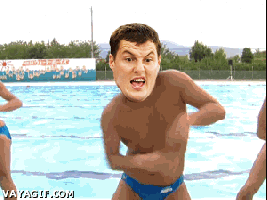 wes welker GIF