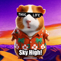 Guinea Pig GIF by Guinea Gambino