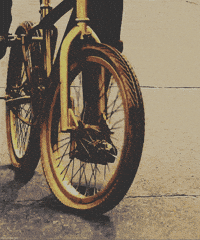 trinidad james gold GIF