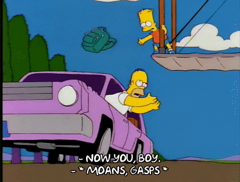 homer simpson GIF