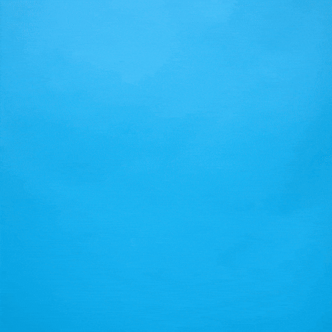 Soccer React GIF by Charlotte FC