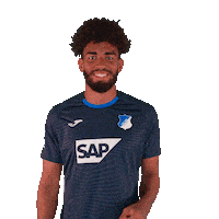 Kevin Akpoguma Sport Sticker by TSG Hoffenheim