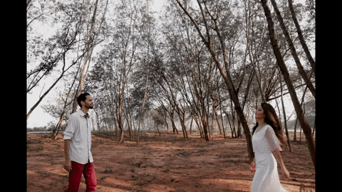 brunapereirafoto giphyupload GIF