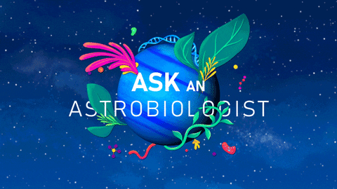 miketoillion giphyupload GIF