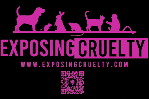 exposingcruelty cruelty exposing endanimaltesting exposingcruelty GIF