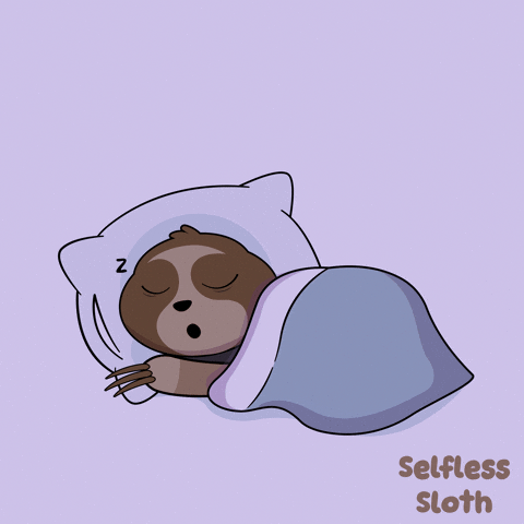 Sleep Well GIF by VeeFriends