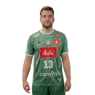 Handball Weber Sticker by DAIKIN HBL