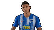 Hertha Berlin Smile Sticker by Hertha BSC