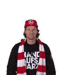 Handball-Bundesliga Fan Sticker by LIQUI MOLY HBL