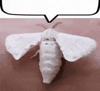 Worm Talking GIF