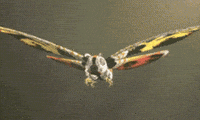 Godzilla Vs Mothra Animation GIF
