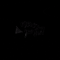 lampadario lampadario lampadariovanelli GIF