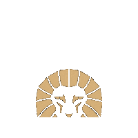 Aleon-drinks aleon aleondrinks liquid dessert Sticker