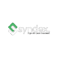 Syndexeponto Sticker by SYNDEX LOGISTICS