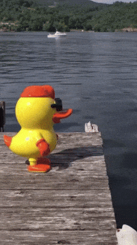 Water Swimming GIF by Sueno Tattoo